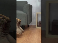 Sepatu olahraga pria, anti slip dan sepatu tahan aus